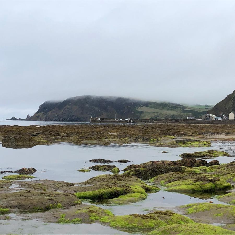 Puffins Nest Villa Gardenstown Esterno foto